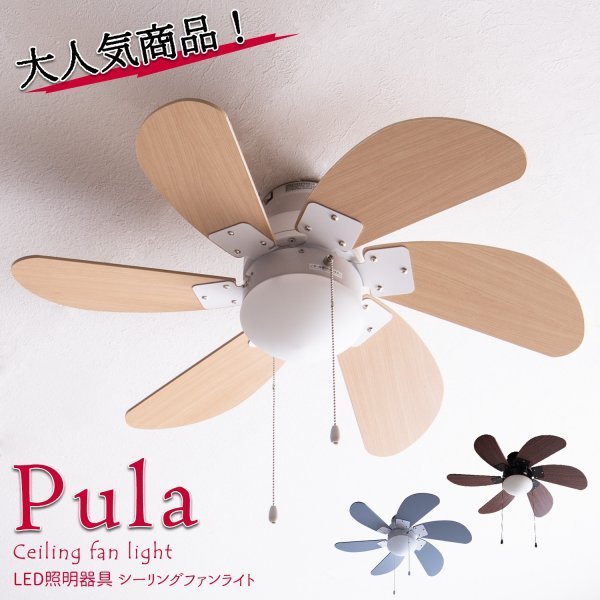 新品★未使用  Pulla Ⅱ シーリングファンライト 扇風機 ファン グレー